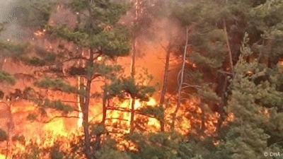 Honaz ilçesinde, Karaçay Mahallesi yakınlarında çıkan yangına itfaiye ekipleri ve