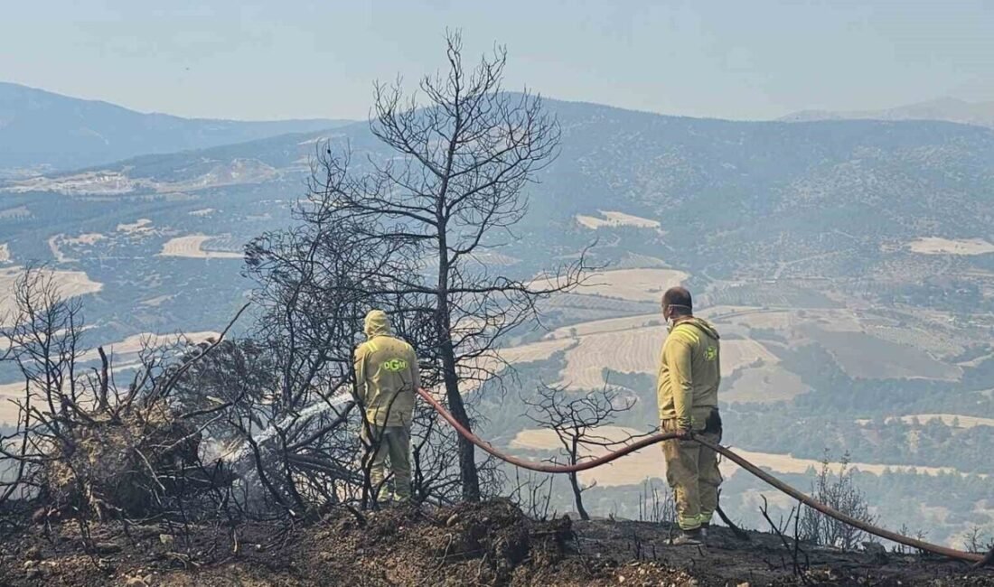Denizli’nin Acıpayam ilçesinde yıldırım düşmesi sonucu orman yangını çıktı. Kavurucu