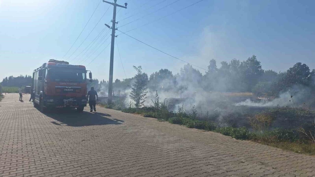 Selçuk’ta sazlık alanda yangın paniği