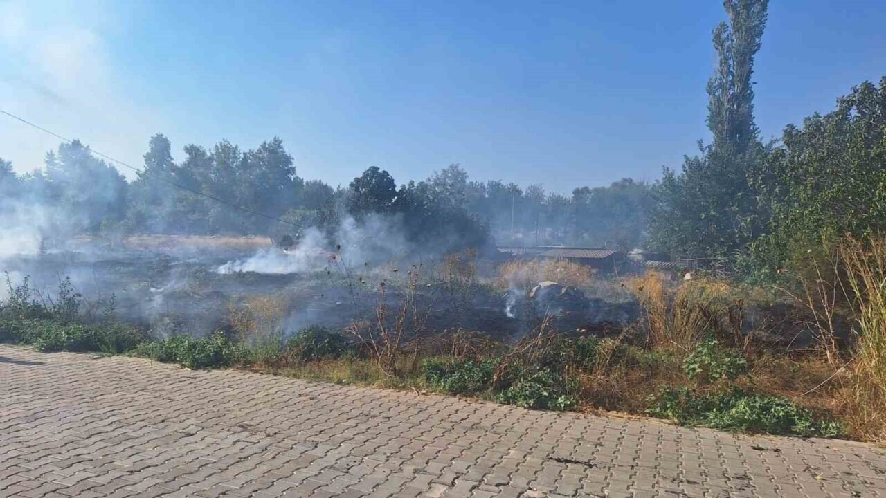 Selçuk’ta sazlık alanda yangın paniği
