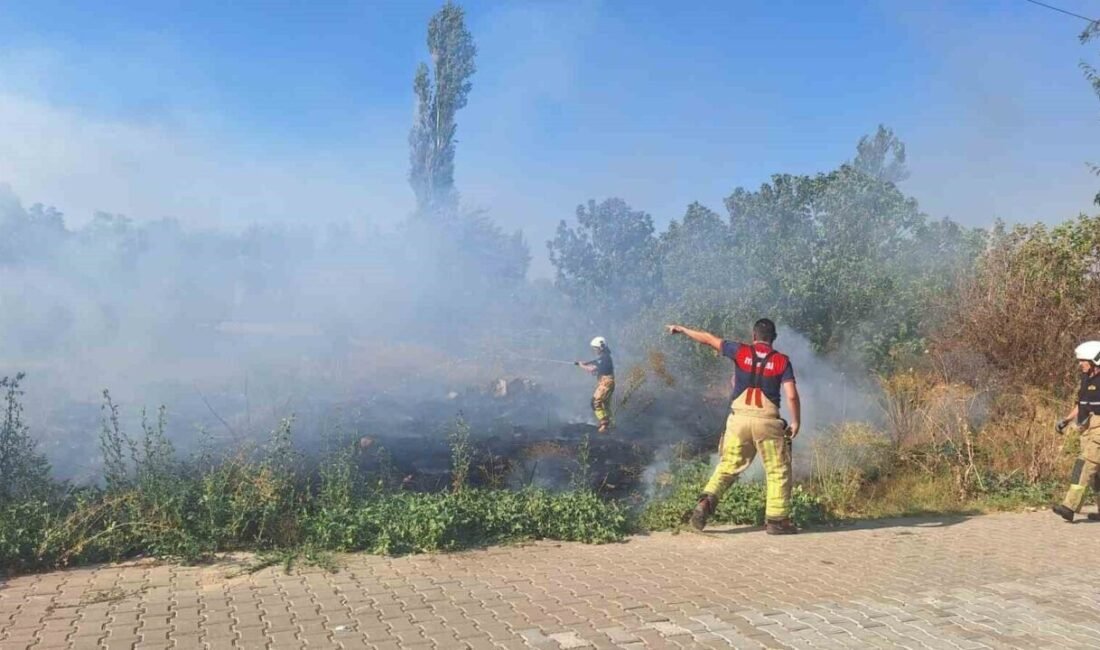 İzmir’in Selçuk ilçesinde sazlık alanda çıkan yangın, rüzgarın etkisiyle büyükbaş
