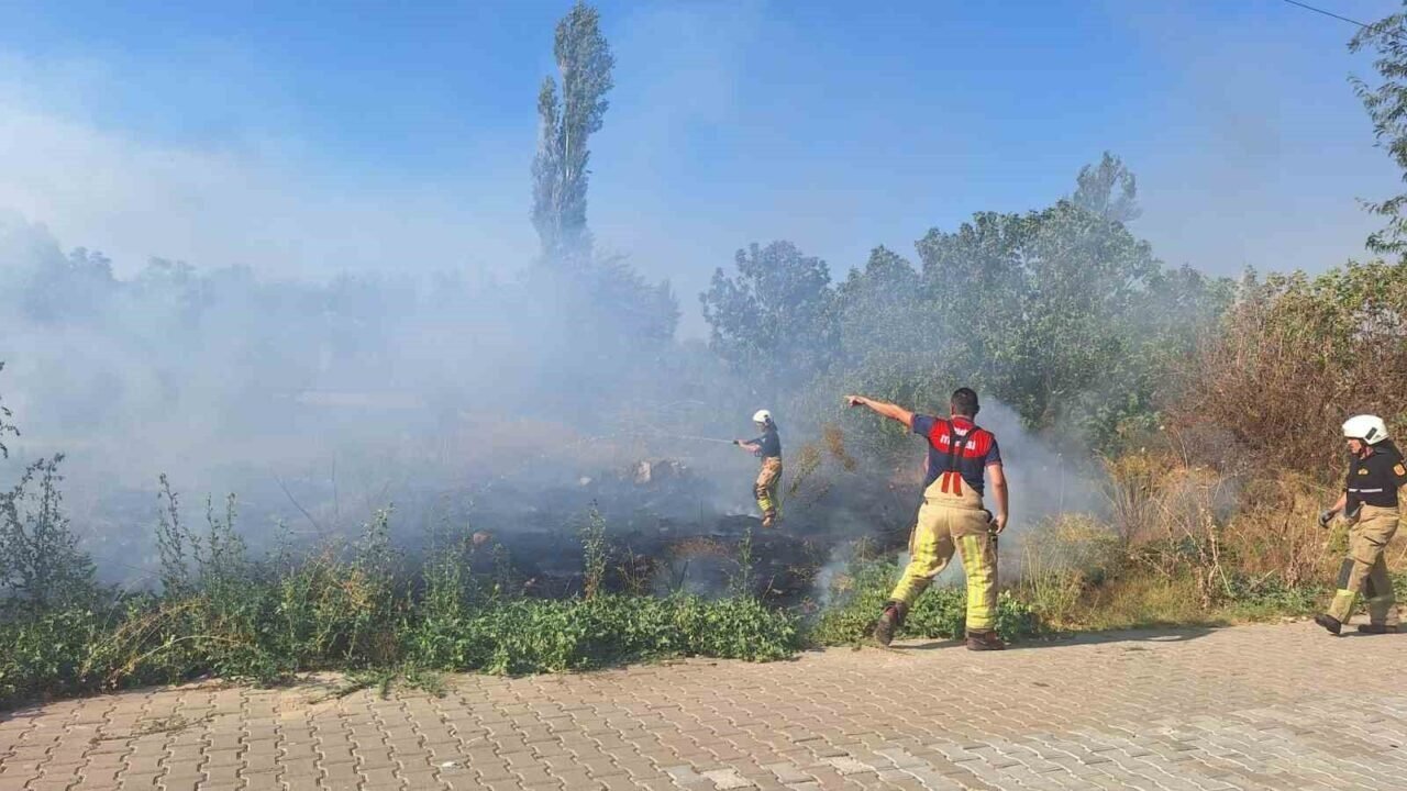 Selçuk’ta sazlık alanda yangın paniği
