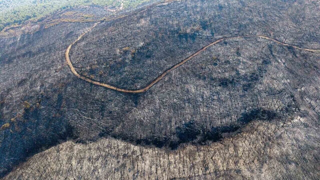 Soma’daki orman yangınında soğutma çalışmaları sürüyor