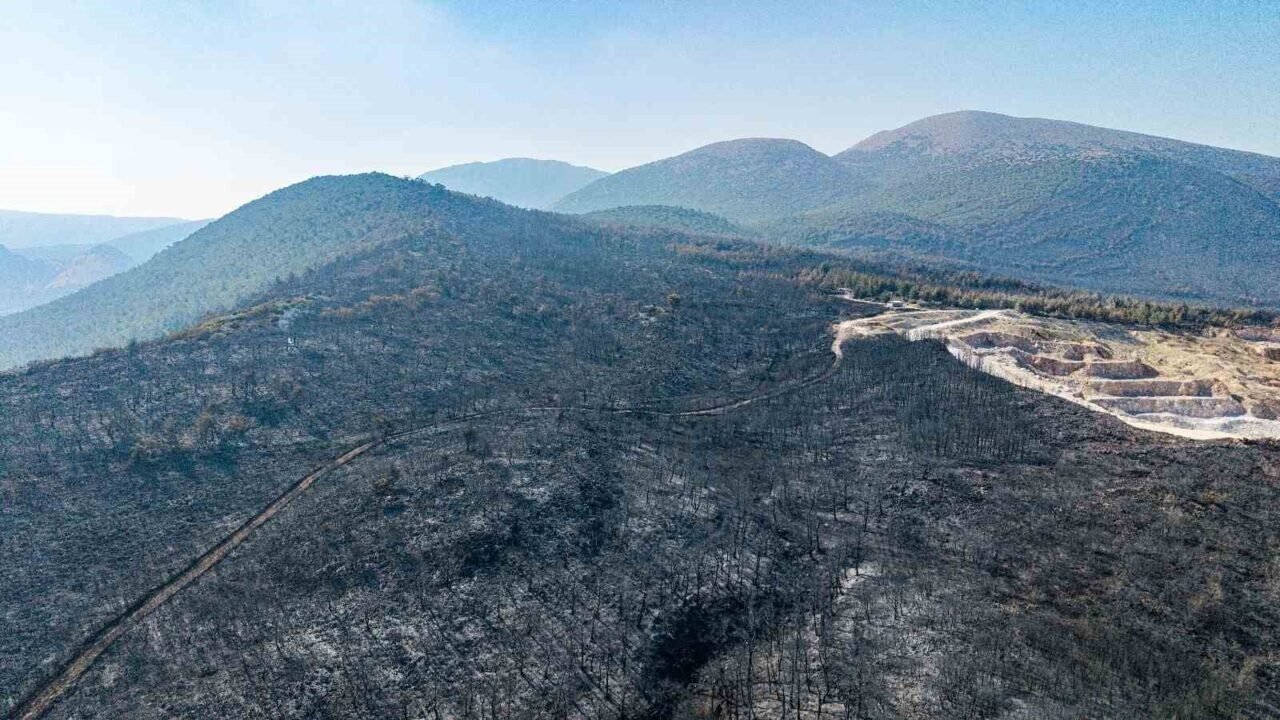 Soma’daki orman yangınında soğutma çalışmaları sürüyor