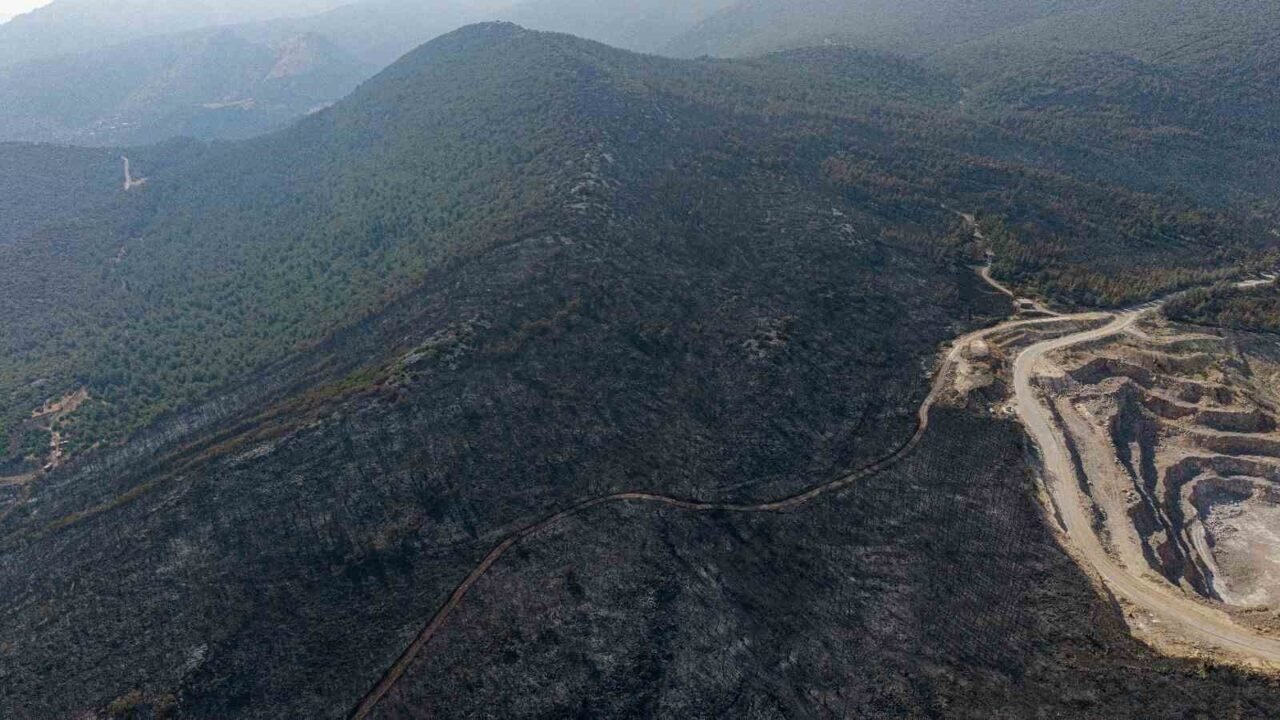 Soma’daki orman yangınında soğutma çalışmaları sürüyor