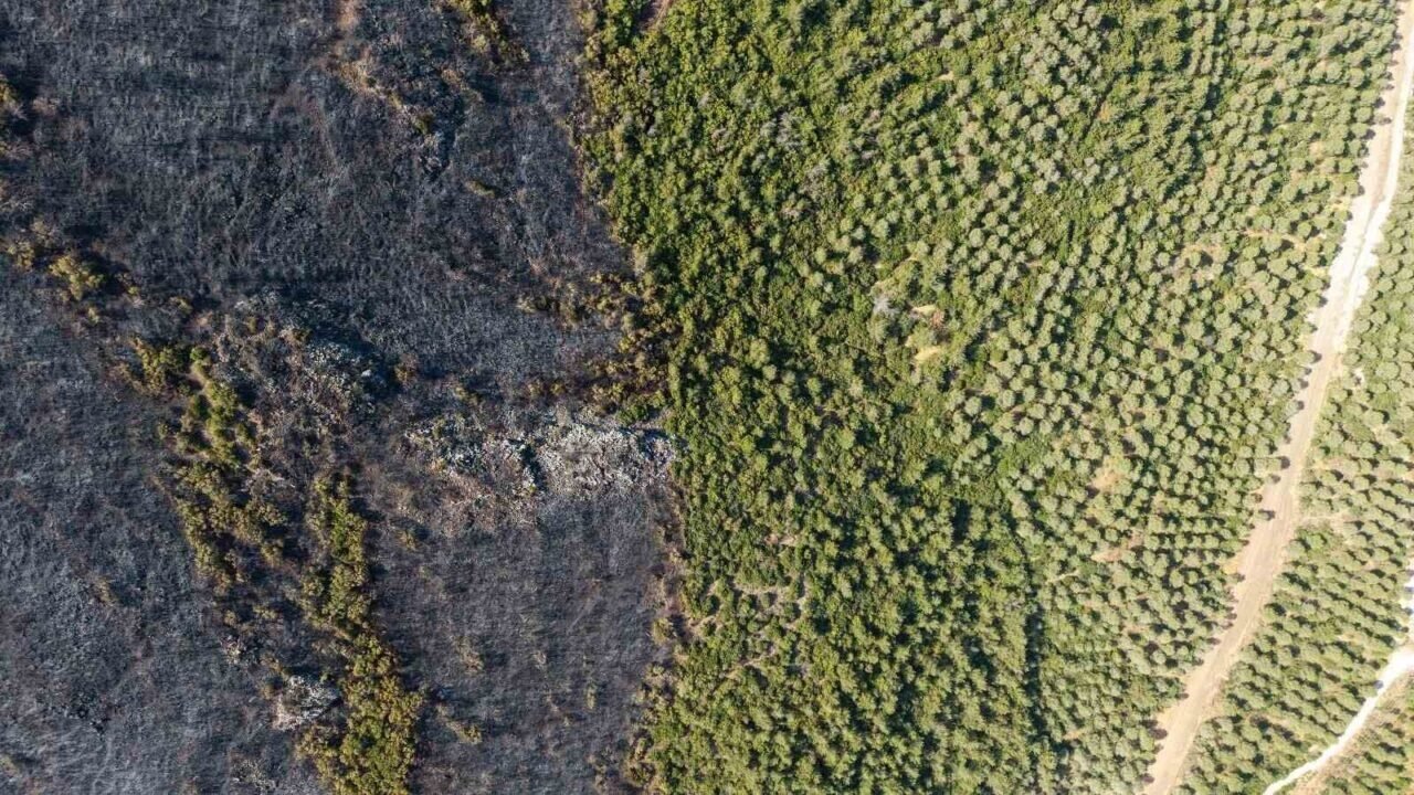 Soma’daki orman yangınında soğutma çalışmaları sürüyor