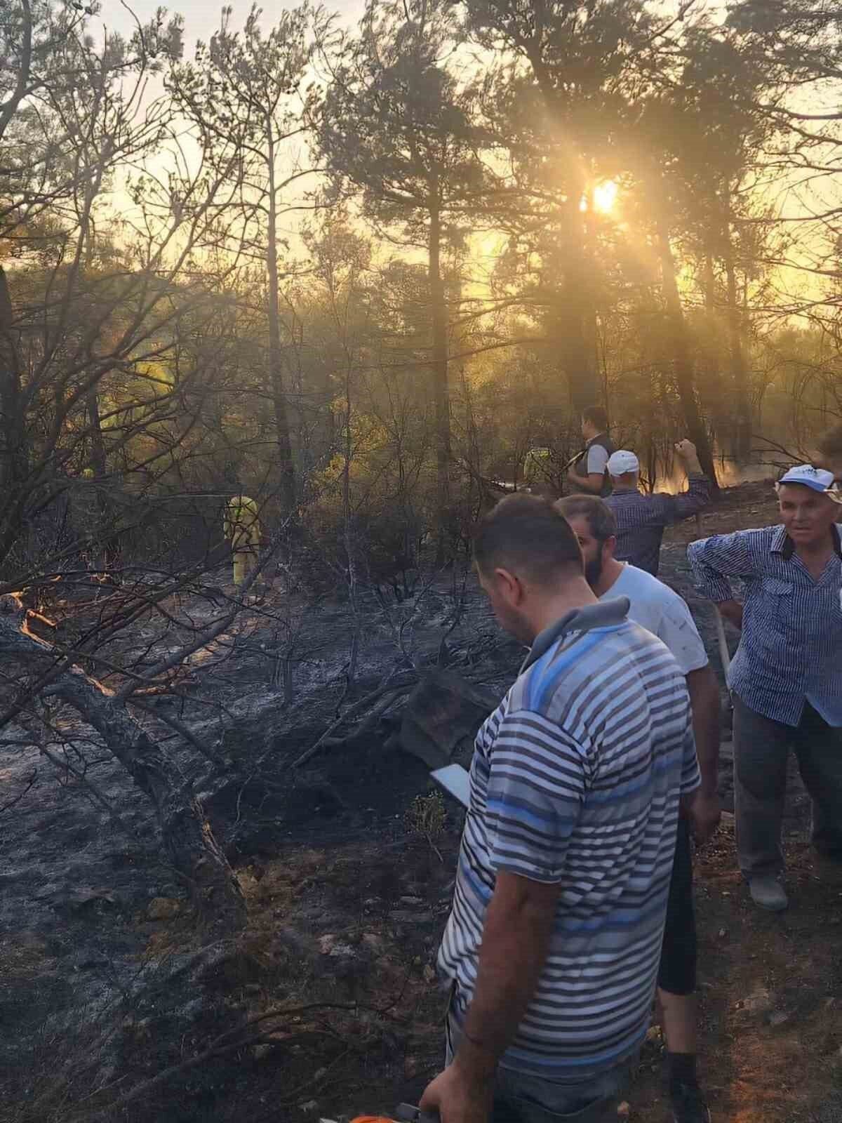 Tavas’ın ciğerlerini ateşe veren kundakçılardan akıl almaz tuzak