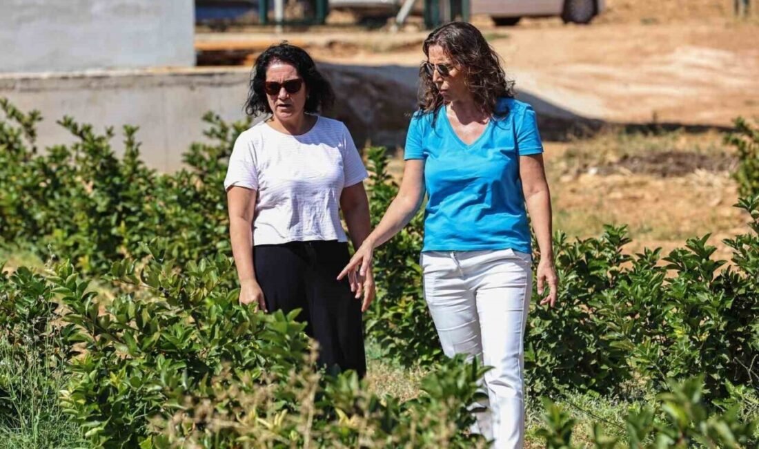 Antalya Büyükşehir Belediyesi’nin Korkuteli’nin Beğiş Mahallesi’nde hayata geçirdiği sulama suyu