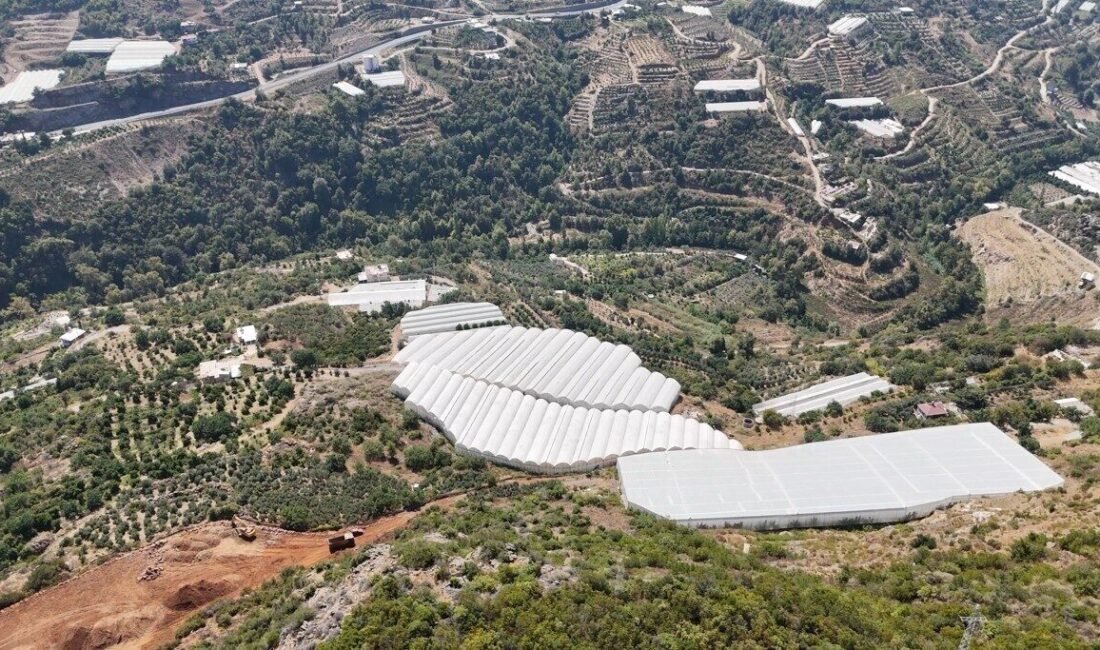 Antalya’nın Alanya ilçesine bağlı Güney Mahallesi’nde 104 dönümlük engebeli arazi