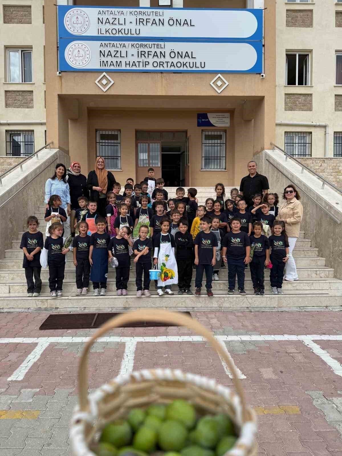 İlkokul öğrencileri okul bahçesindeki zeytin ağaçlarında hasat yaptı