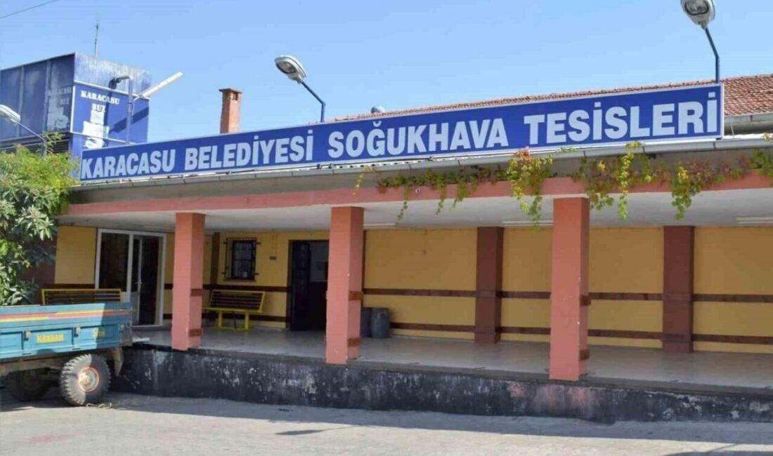 Aydın’ın önemli elma üretim merkezi Karacasu ilçesinde sezon hareketliliği başlarken,