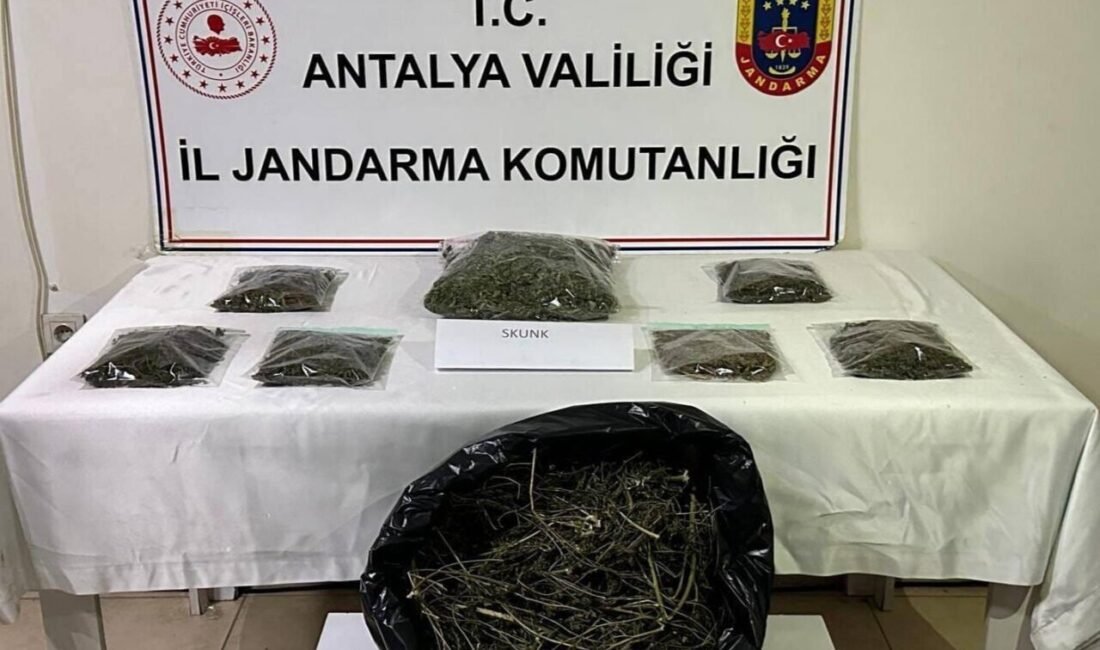 Alanya’da uyuşturucu operasyonu: 800 gram uyuşturucu ele geçirildi Antalya İl Jandarma Komutanlığı ekipleri tarafından Alanya’da düzenlenen operasyonda bir