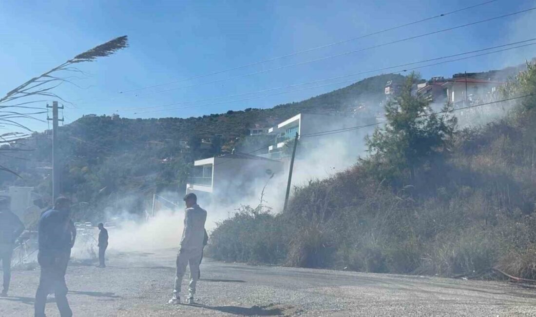 Antalya’nın Alanya ilçesinde ağaçlık alanda çıkan yangın, ekiplerin havadan ve