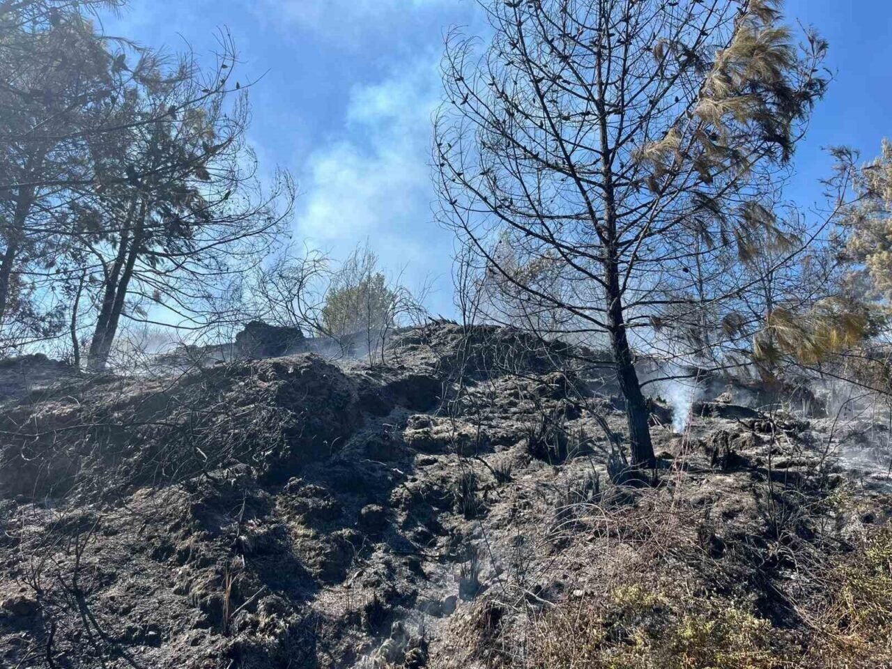 Alanya’da yerleşim alanlarını tehdit eden yangın korkuttu