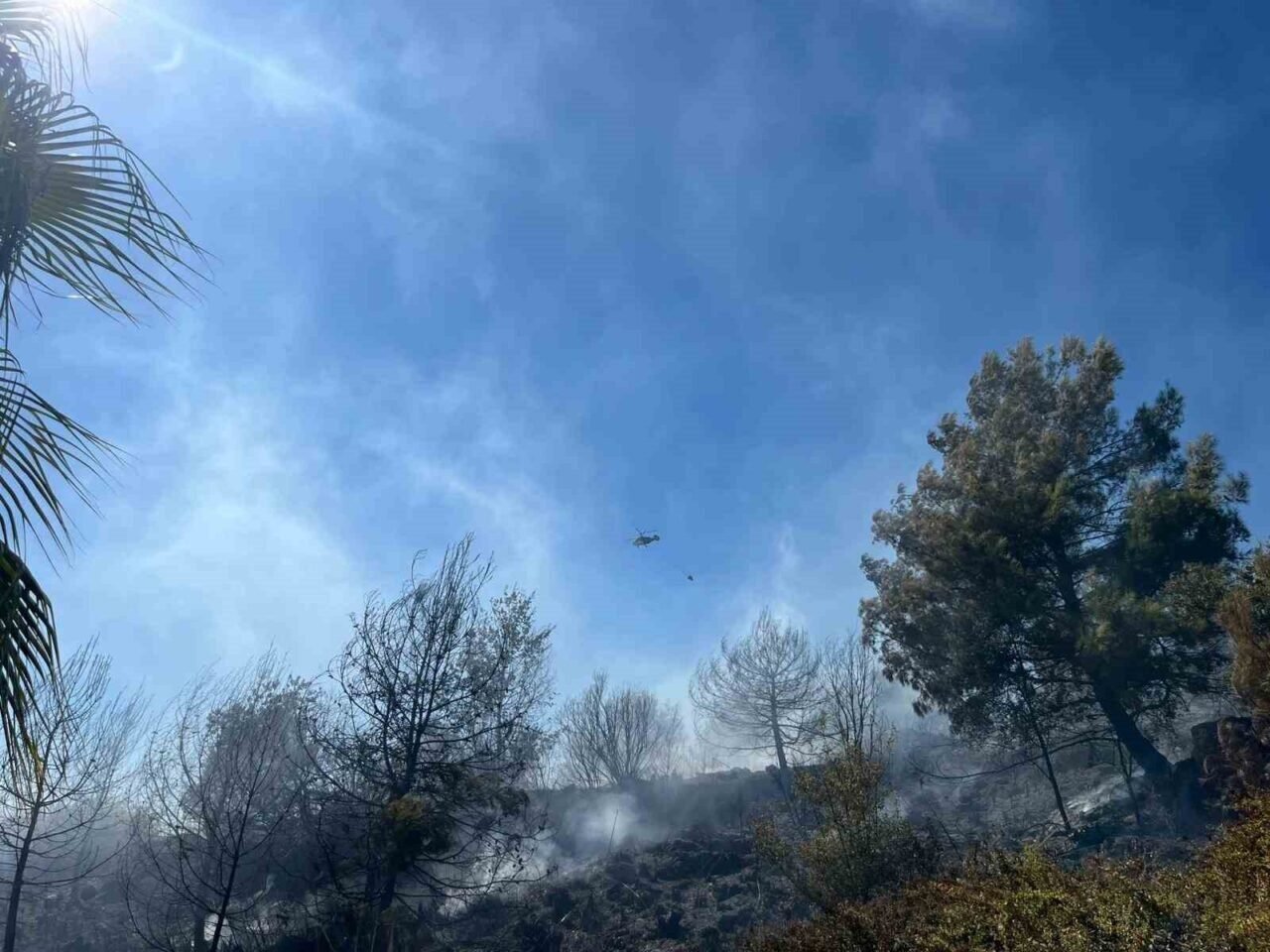 Alanya’da yerleşim alanlarını tehdit eden yangın korkuttu