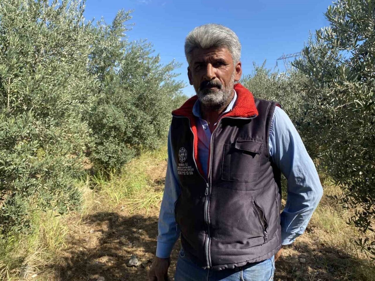 Alaşehir’de çiftçilerin yağmur sevinci
