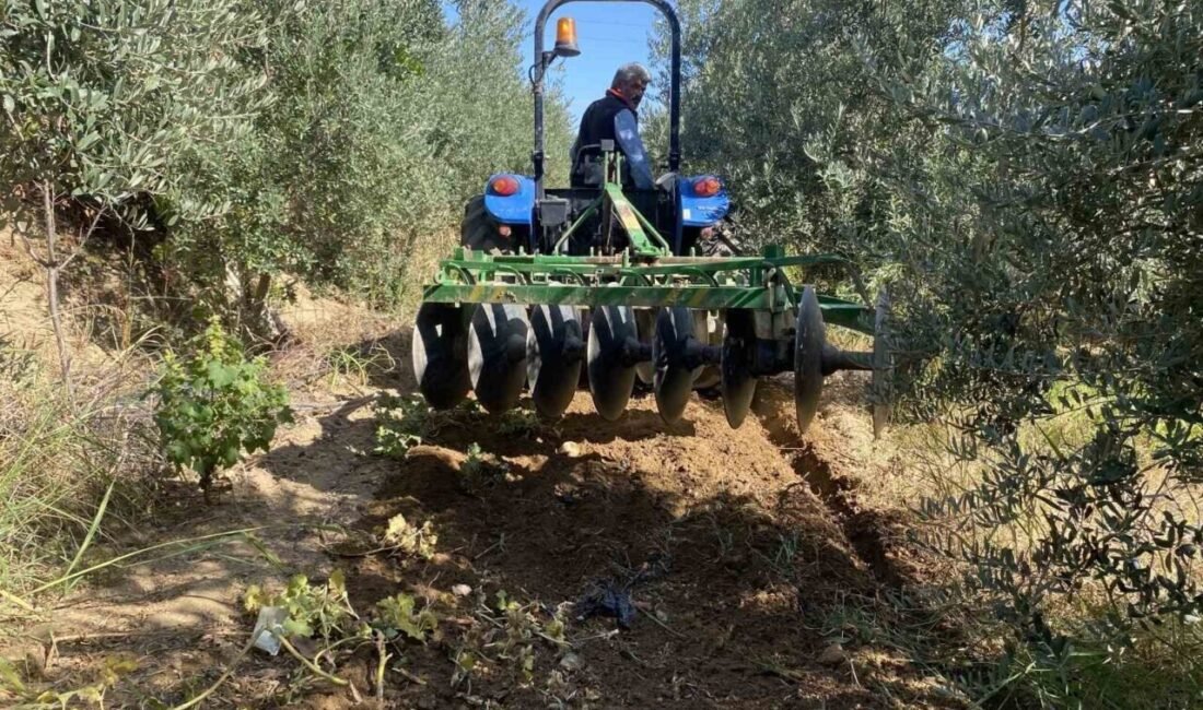 Manisa’nın Alaşehir ve çevresinde son günlerde etkili olan yağışlar, çiftçilerin