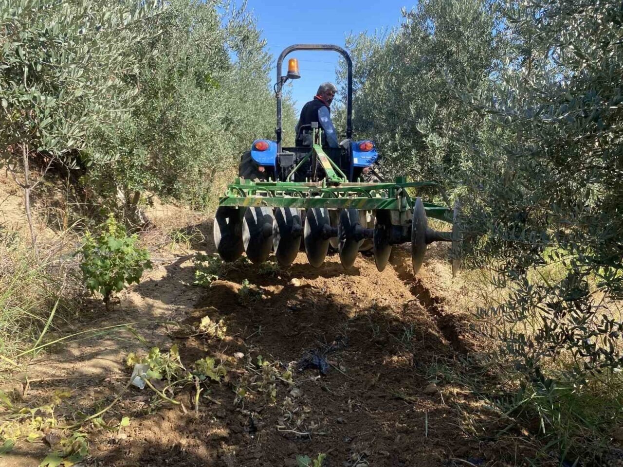 Alaşehir’de çiftçilerin yağmur sevinci Alaşehir’de çiftçilerin yağmur sevinci
