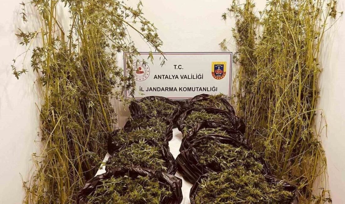 Antalya İl Jandarma Komutanlığı ekiplerinin düzenlediği operasyonda 53 kilo 250