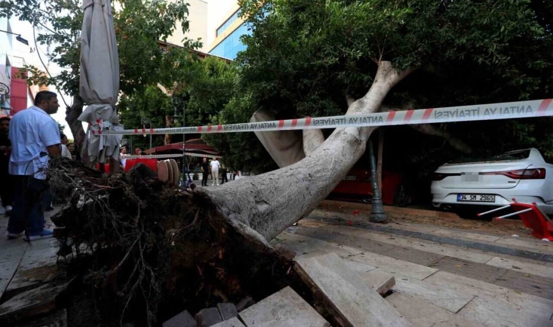 Antalya’da kaldırım üzerinde bulunan ağaç park halindeki araçların üzerine devrildi.