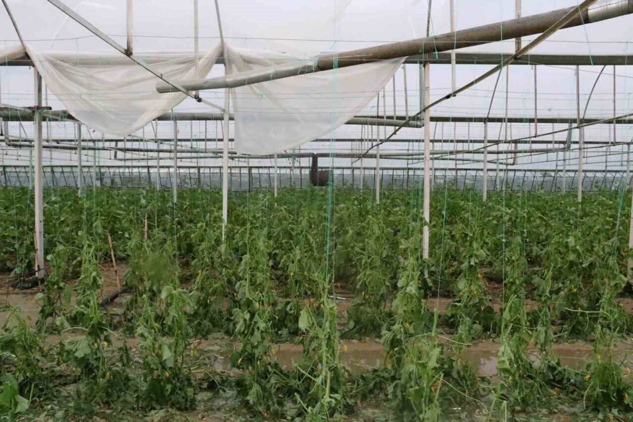 Antalya’da sağanak seraları da vurdu