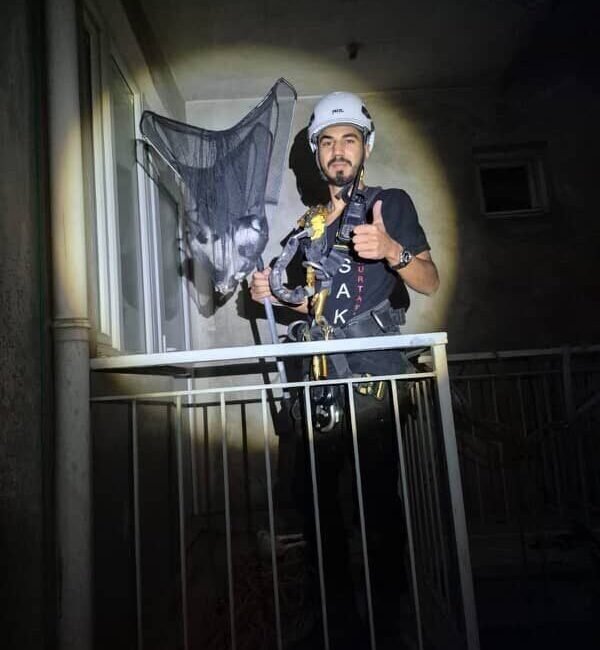 Aydın’ın Efeler ilçesinde apartman boşluğunda mahsur kalan yavru kedi, Acil