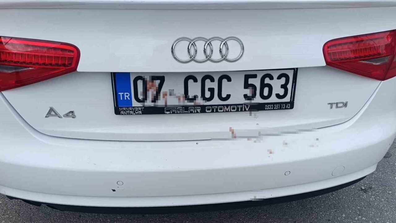 "Araçta kan var" ihbarı polisi alarma geçirdi: Gerçek çok farklı çıktı