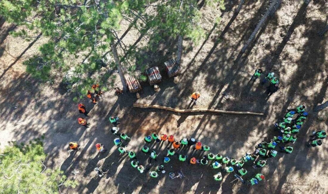 Aydın’da ormancılardan tatbikat Aydın ve Milas Orman İşletme Müdürlüğü’nün koordinesinde üretim tatbikatı gerçekleştirildi.