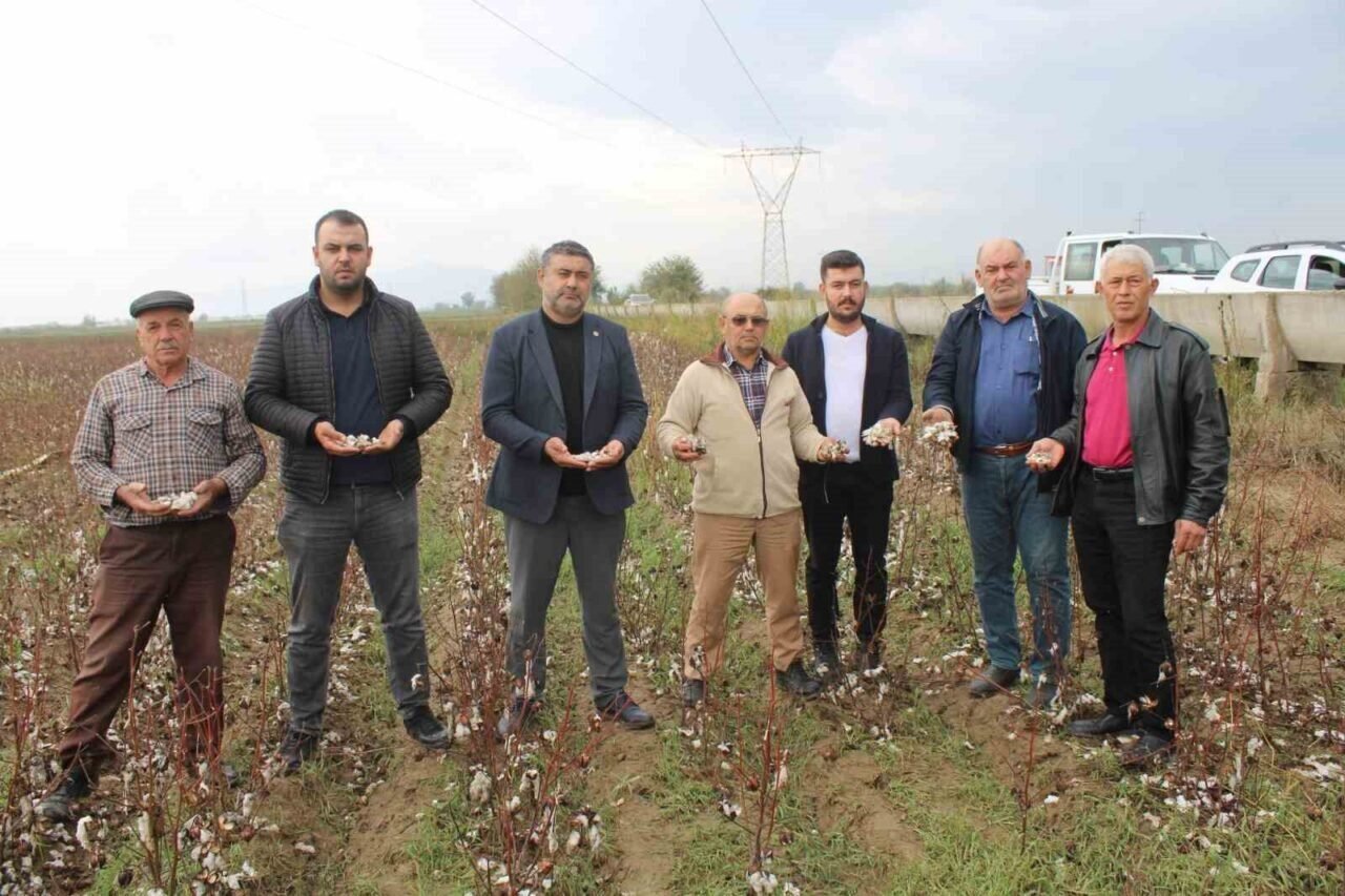 Aydın’da pamuk tarlalarını dolu vurdu