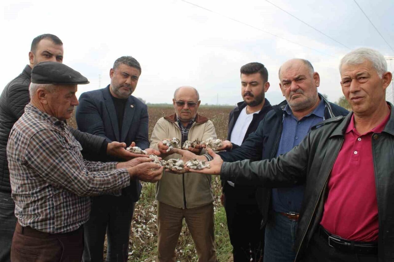 Aydın’da pamuk tarlalarını dolu vurdu