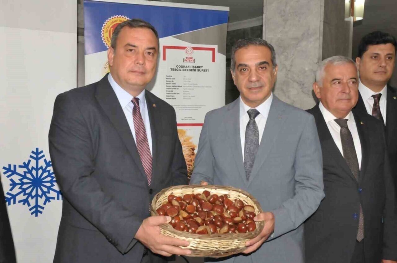 Aydın’da sezonun ilk kestanesi kilosu 550 TL’den alındı