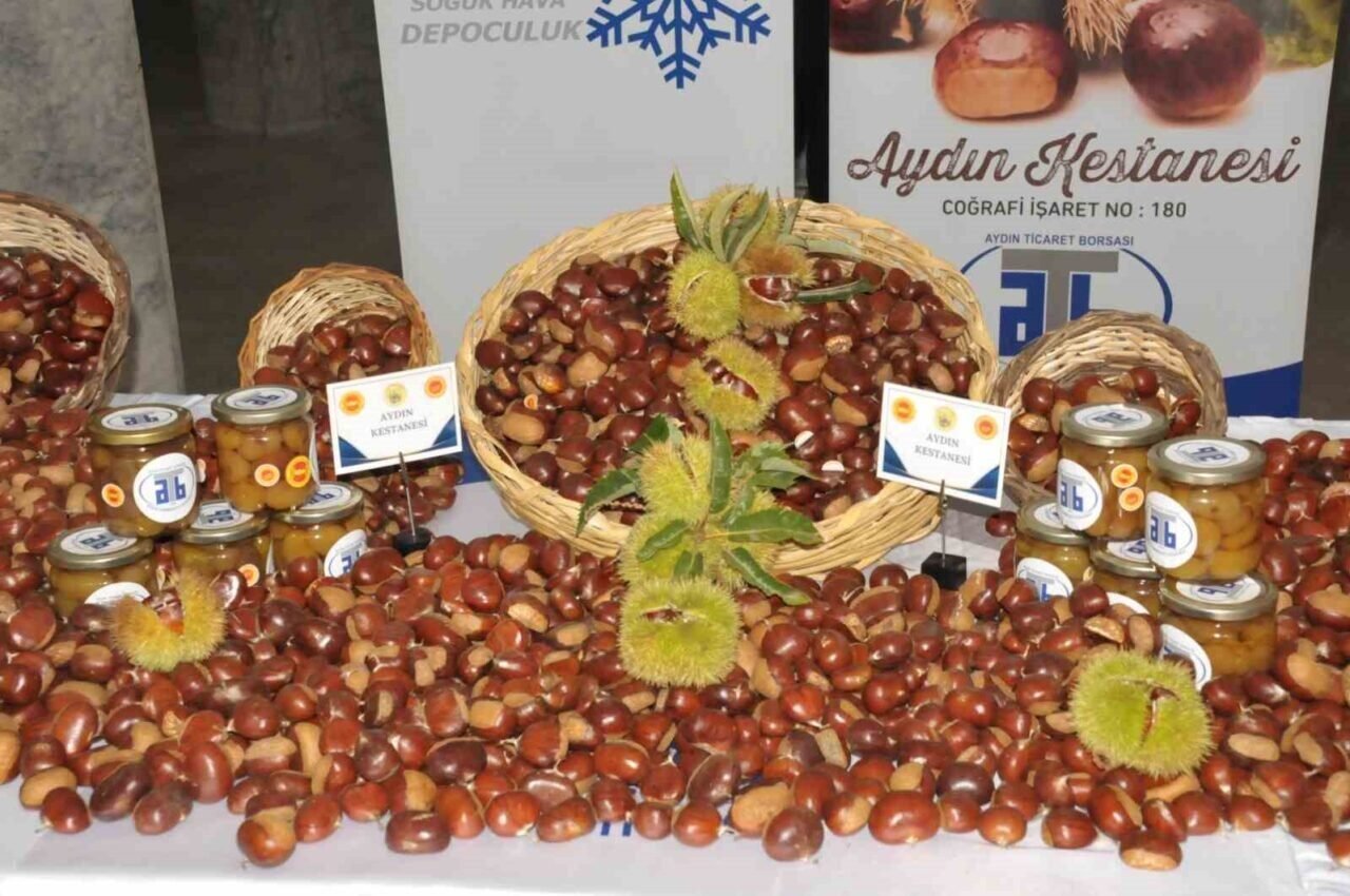 Aydın’da sezonun ilk kestanesi kilosu 550 TL’den alındı