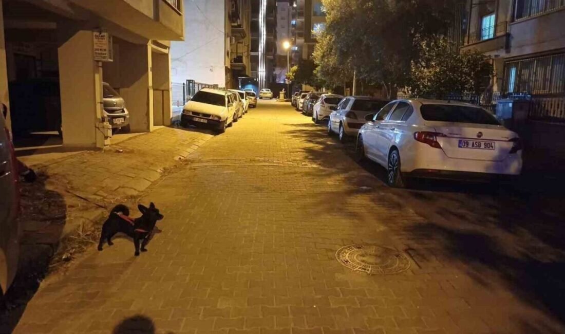 Balıkesir’deki deprem Aydın’da da hissedildi Balıkesir’in Sındırgı ilçesinde meydana gelen 6.1 büyüklüğündeki deprem, Aydın’da da