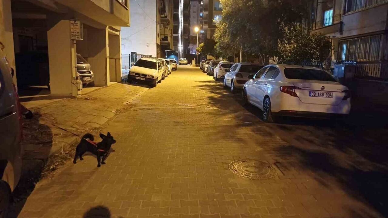 Balıkesir’deki deprem Aydın’da da hissedildi Balıkesir’deki deprem Aydın’da da hissedildi