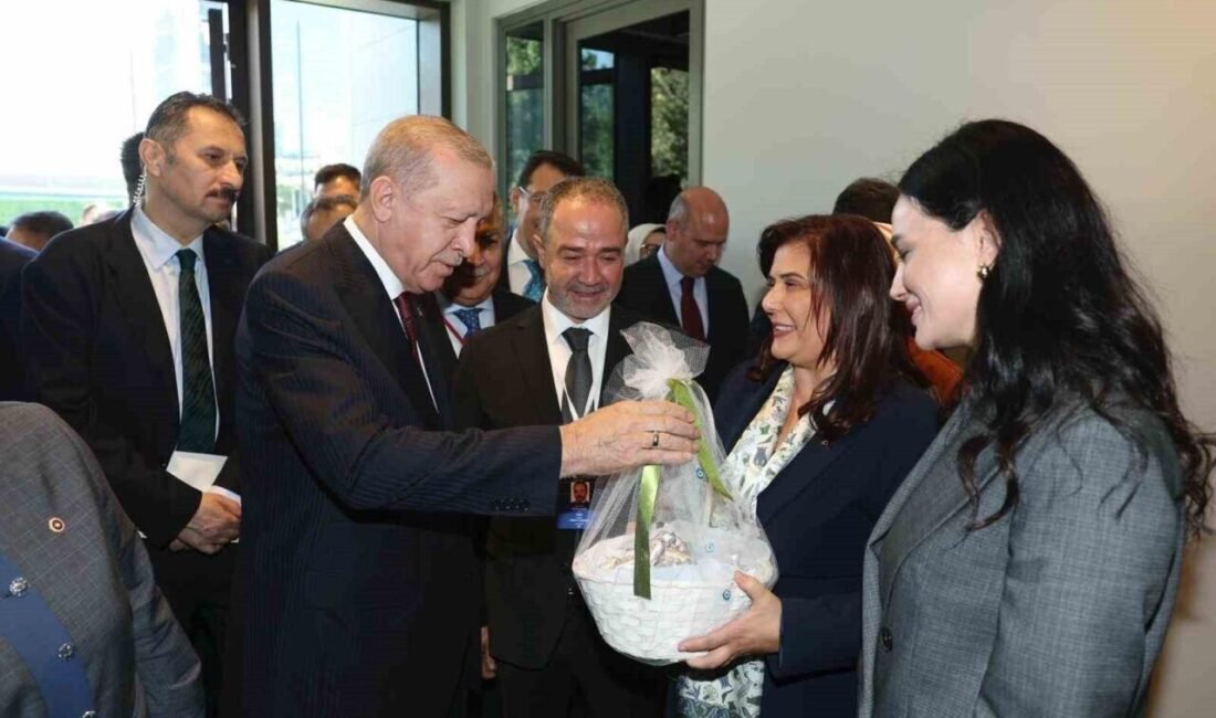 Başkan Çeriçoğlu’ndan Erdoğan’a Aydın inciri Aydın Büyükşehir Belediye Başkanı Özlem Çerçioğlu, AK Parti Genel Başkanı