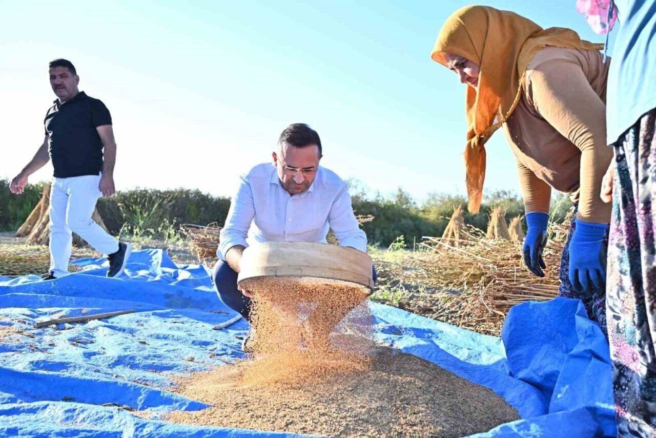 Başkan Güngör: "Manavgat’ın coğrafi işaret tescilli ’altın susamı’, Türkiye’nin en kaliteli susamı olarak öne çıkıyor"