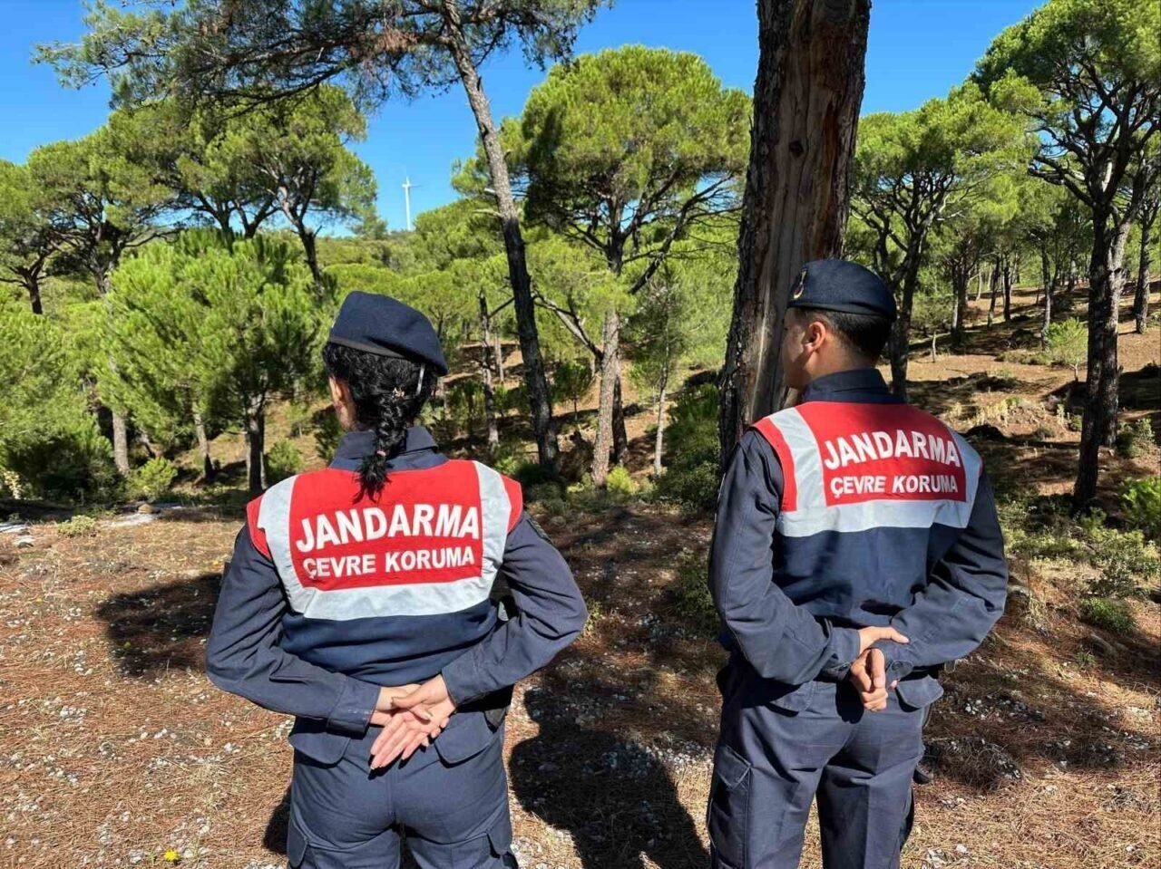 Bu çiçeği koparana 557 bin TL ceza Bu çiçeği koparana 557 bin TL ceza
