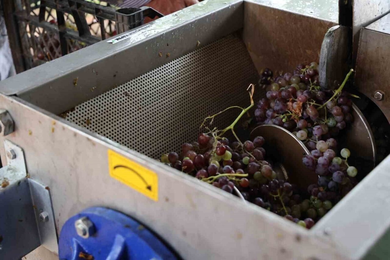 Büyükşehirden üreticiye üzüm sıkma makinesi desteği