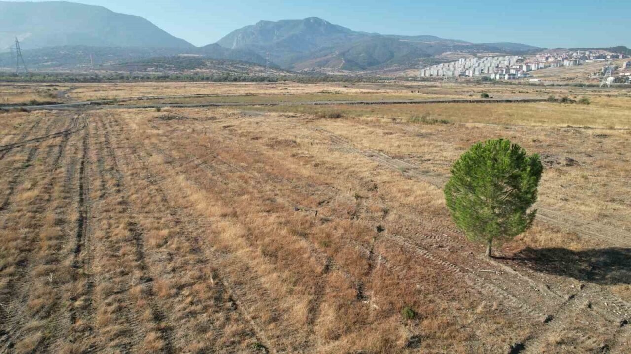 BYD’nin Manisa’daki fabrika sahasında sessizlik sürüyor BYD’nin Manisa’daki fabrika sahasında sessizlik sürüyor