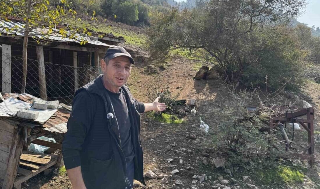 Manisa’nın Soma ilçesine bağlı Kozanlı Mahallesi’nde, bir vatandaşın CİMER’e yaptığı