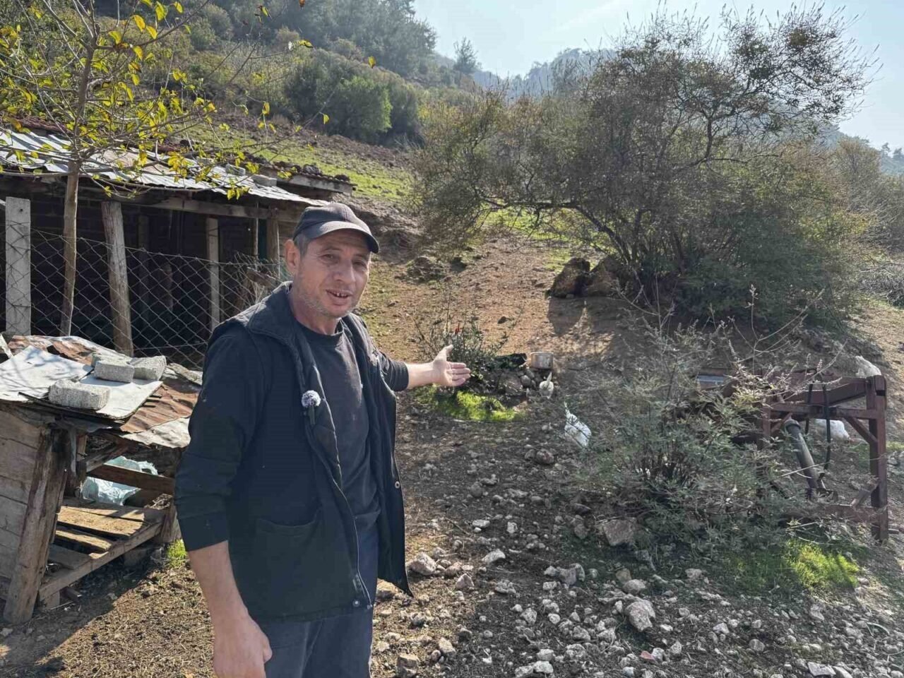 CİMER’e yapılan ’İnek ve tavuklar serbest dolaşıyor, salgın hastalık riski var’ şikayeti bölge sakinlerini şaşkına uğrattı