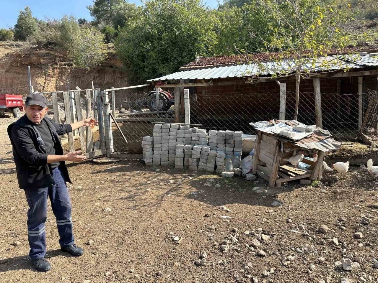CİMER’e yapılan ’İnek ve tavuklar serbest dolaşıyor, salgın hastalık riski var’ şikayeti bölge sakinlerini şaşkına uğrattı