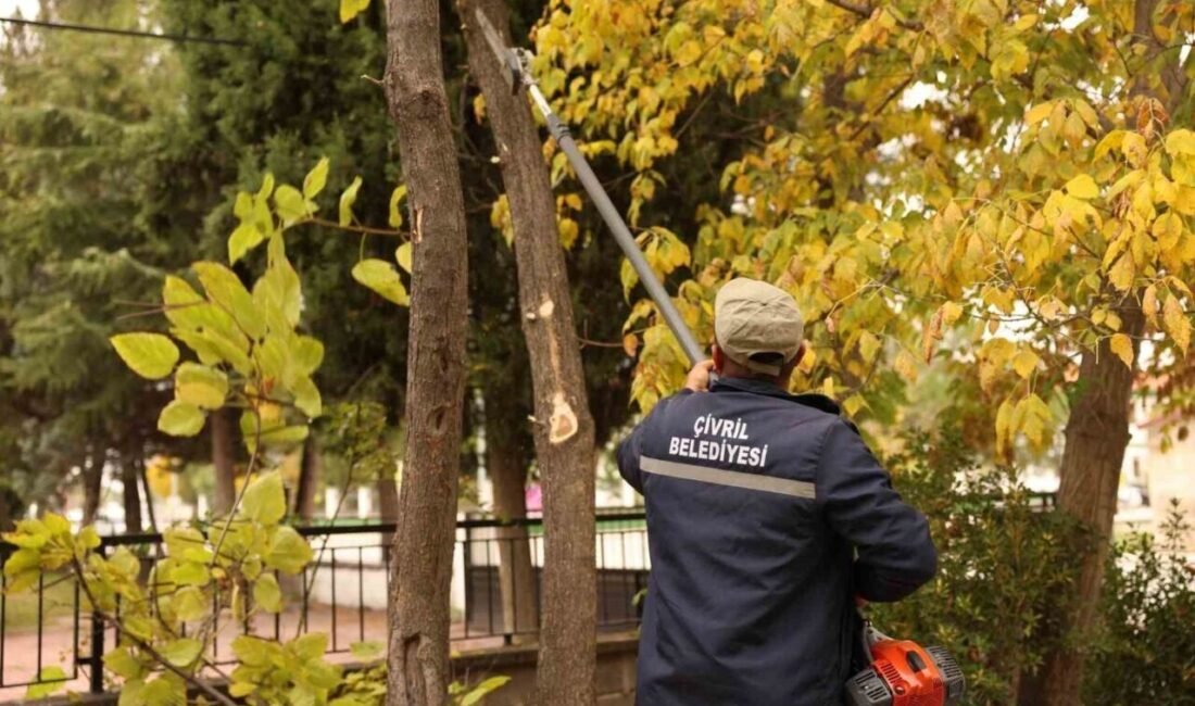 Çivril Belediyesi budamayla hem tehlikeyi önlüyor hem de ağaçların ömrünü uzatıyor Çivril Belediyesi, ilçe genelindeki sokak, park, yeşil alanlar ve yol