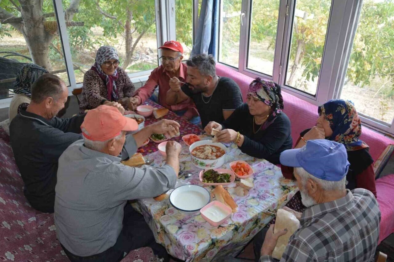 Demirci’de ceviz hasadına başlandı