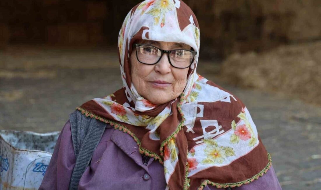 Aydın’ın Köşk ilçesinde yaşayan 74 yaşındaki Dursun Kahraman, çalışmayı çok