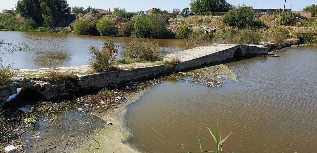 Ekosistemi Koruma ve Doğa Sevenler Derneği Başkanı Bahattin Sürücü, Sarıkemer’deki
