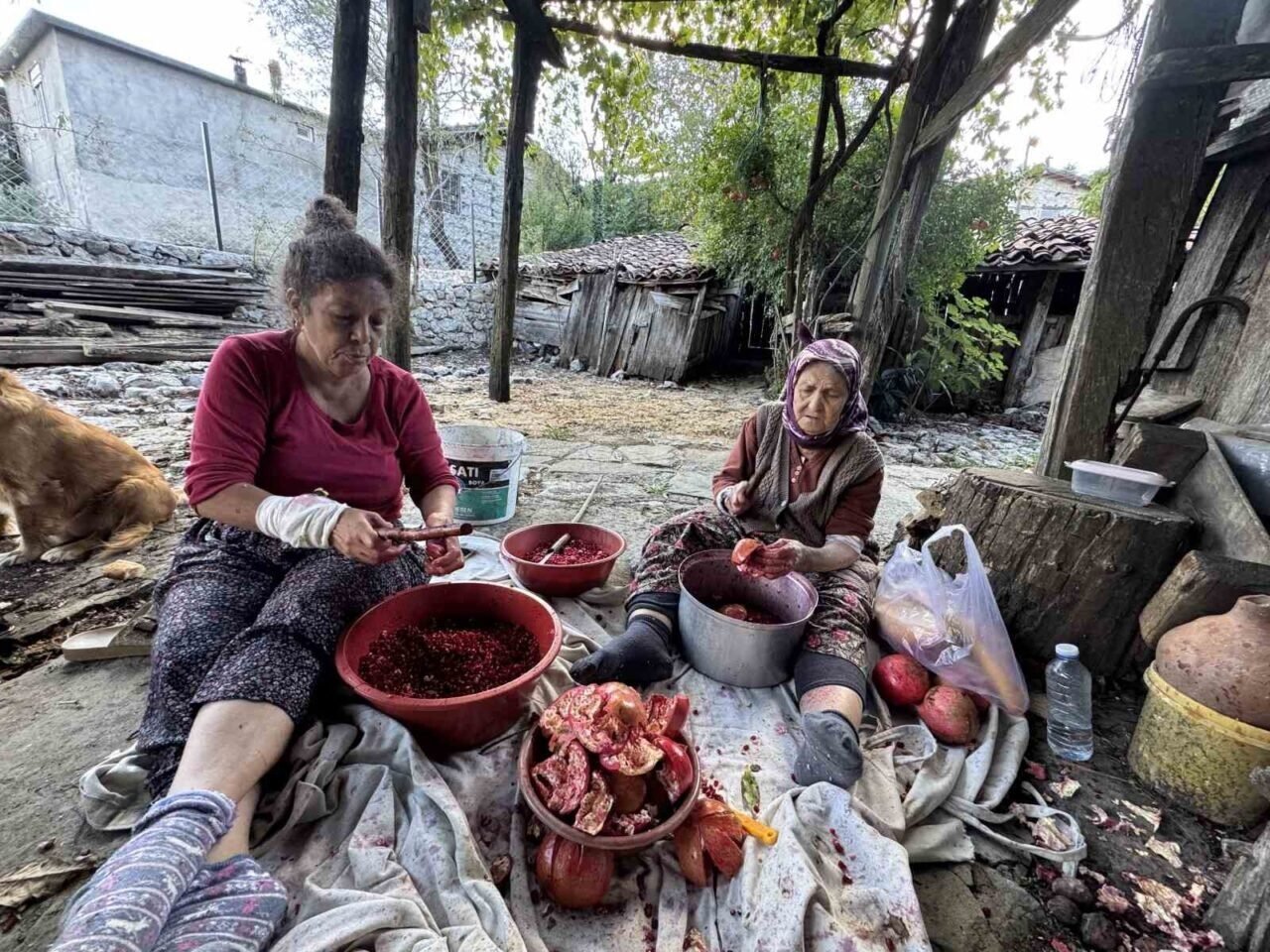 Geleneksel yöntemlerle katkısız üretip kilosunu 600 liradan satıyorlar Geleneksel yöntemlerle katkısız üretip kilosunu 600 liradan satıyorlar