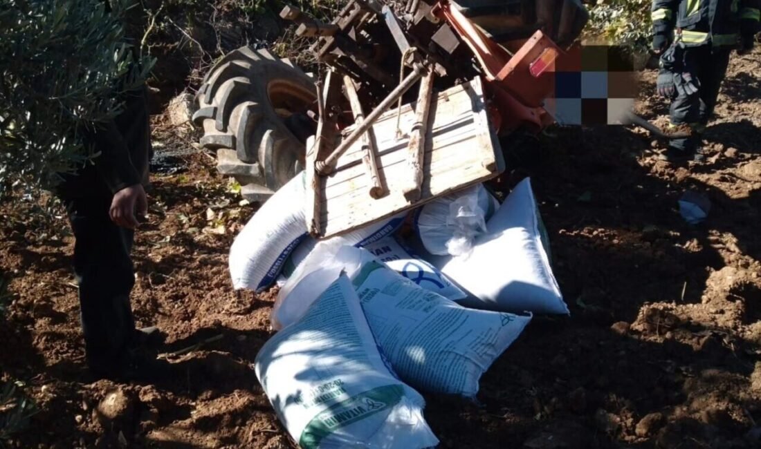 Denizli’de gübre taşıyan traktör devrilince sürücü altında kaldı. İtfaiye tarafından