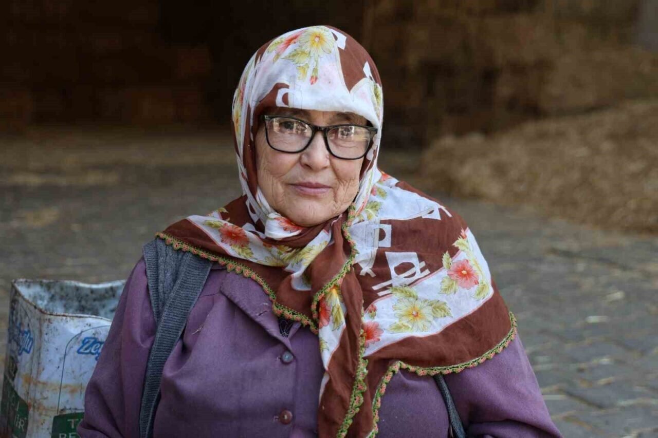 Hasadı yapılan cevizler satışa hazırlanıyor