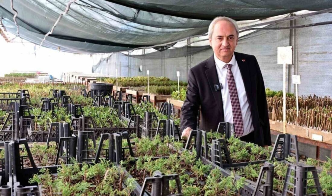 Kepez’den kurakçıl peyzaj hamlesi Kepez Belediyesi, iklim değişikliği ve küresel ısınmanın olumsuz etkilerini azaltmak,